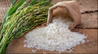 Premium Rice